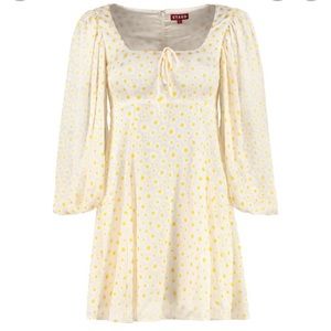 NWT Staud Juniper daisy dress